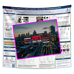 Cheapest CEEA Fabric / Paper Conference Poster Printing in Montreal 36x48 from $70