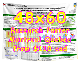 Cheapest Fabric/Paper Research Poster Montreal 48x60 Poster from $110