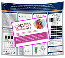 Cheapest SCCT Fabric / Paper Conference Poster Printing in Montreal 48x48 from $70